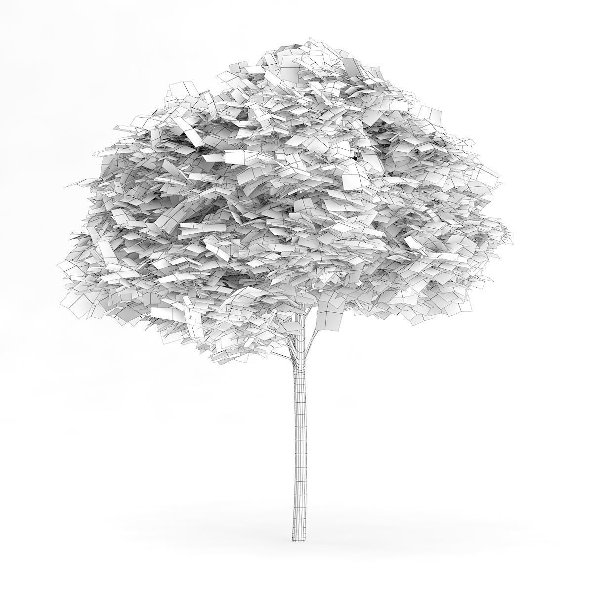 Catalpa Catalpa Scop 6m 3D model_3