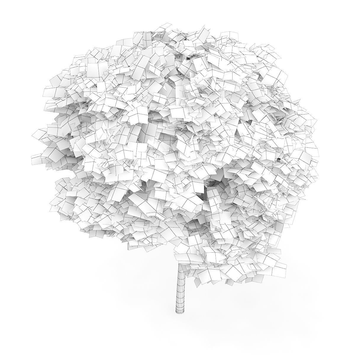 Catalpa Catalpa Scop 6m 3D model_5