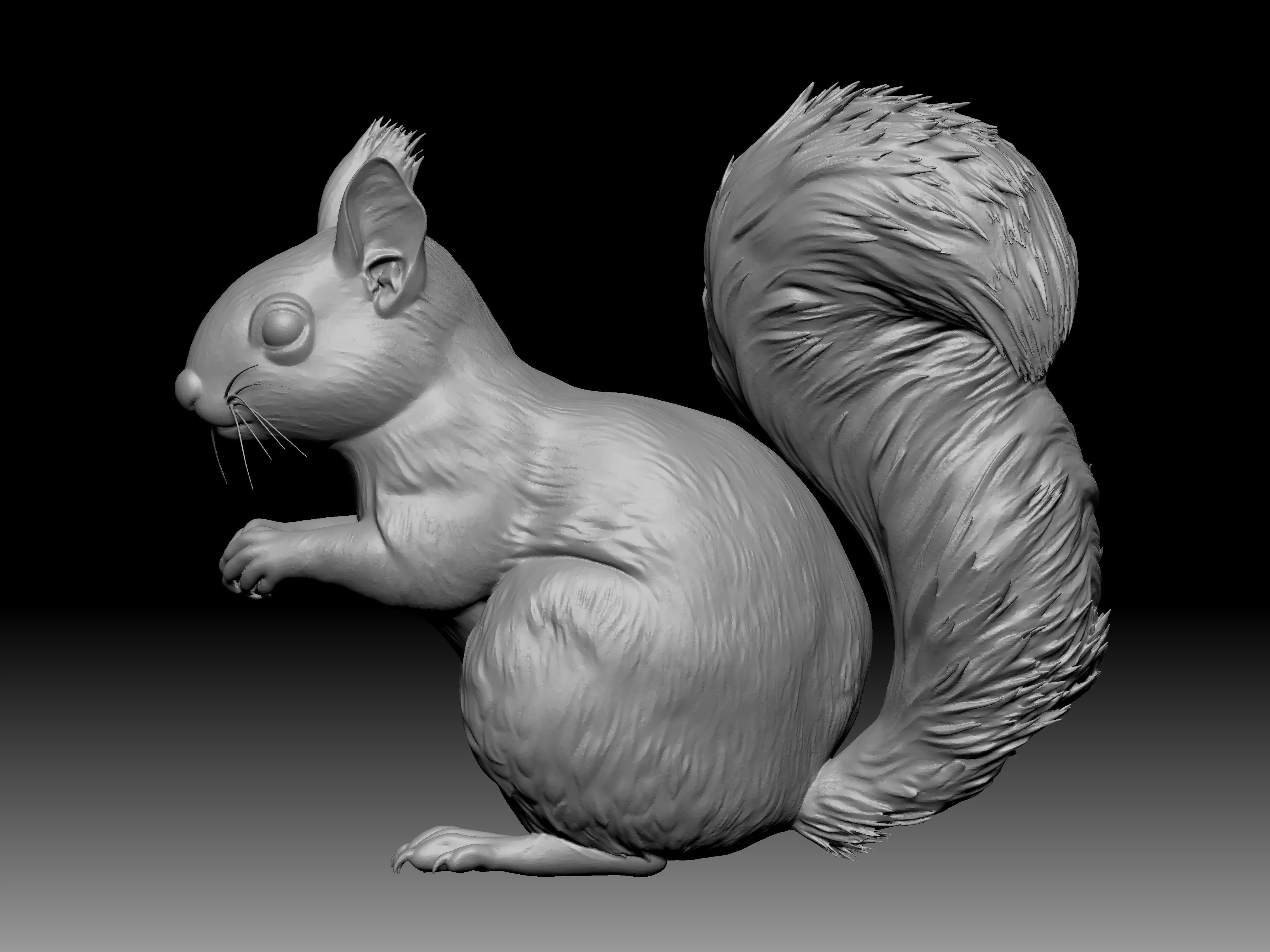 3D digital sculpt of a squirrel 3D print model