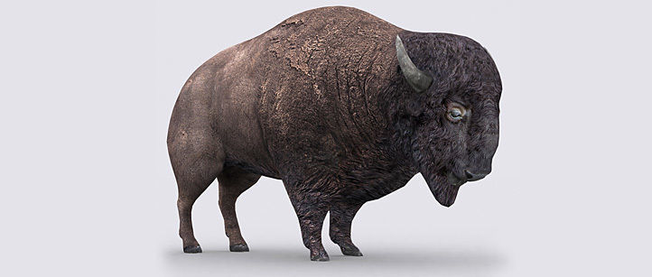 3DRT - Bison Low-poly 3D model_2