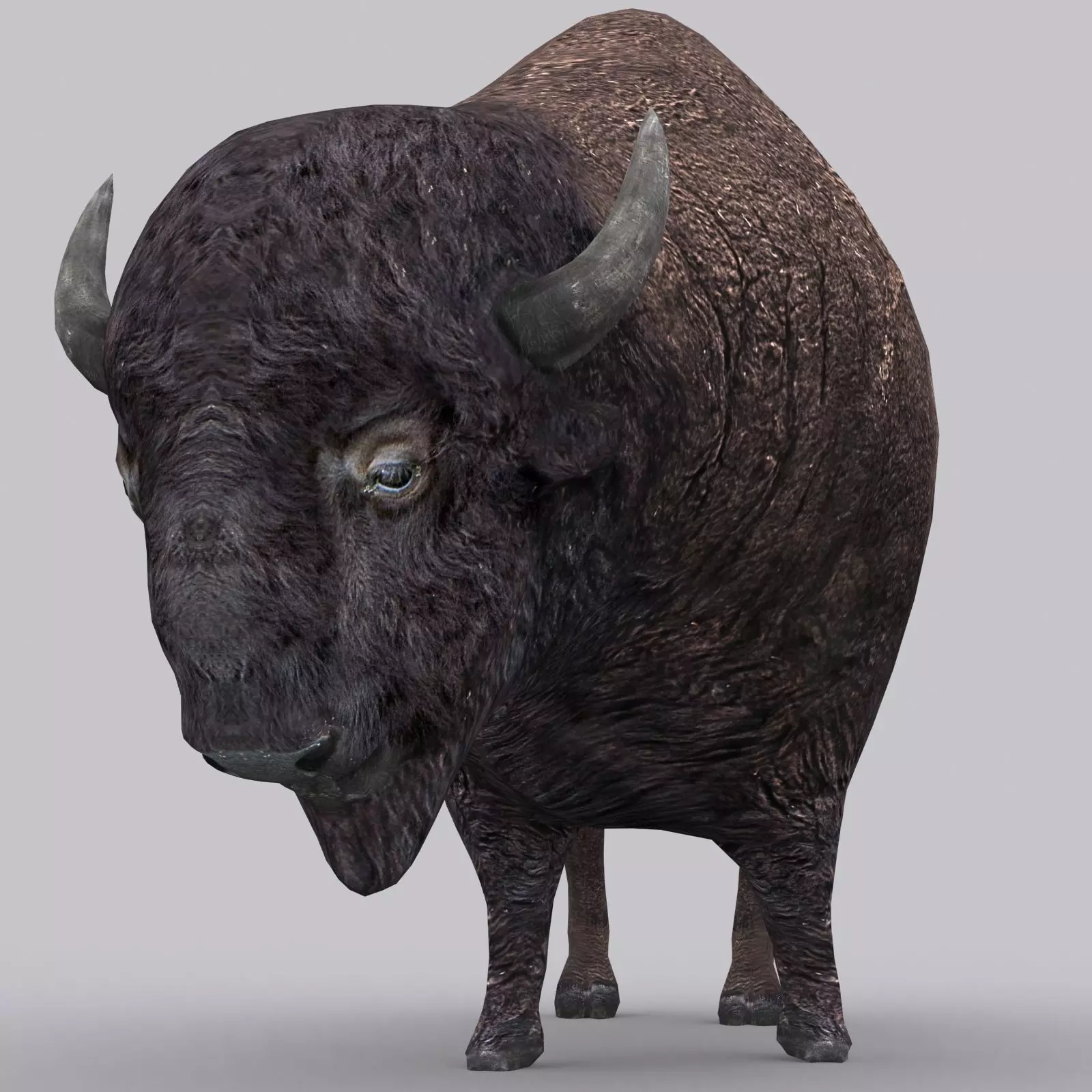 3DRT - Bison Low-poly 3D model_0