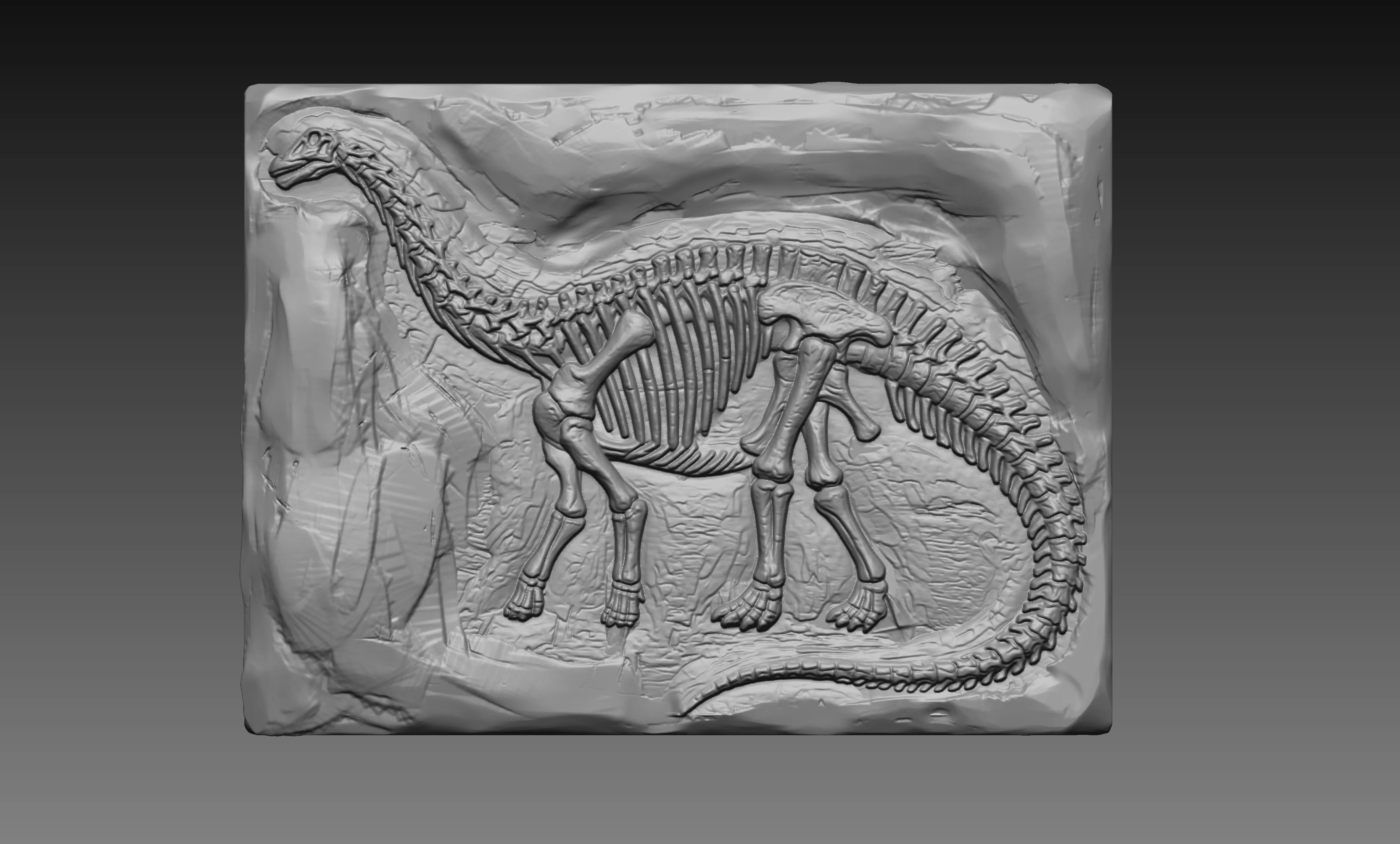 Brontosaurus Skeleton 3D Relief Dinosaur Fossil CNC Carving 3D print model