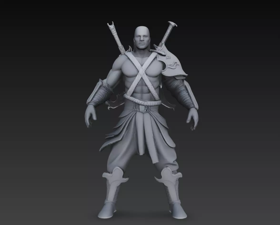 Stylized Dual Sword Warrior Fighter Character STL 3D print model