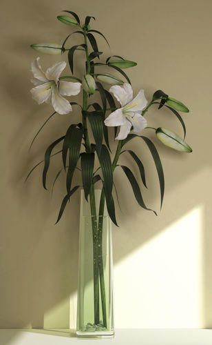 Lilium lilies in vase on table 3D model