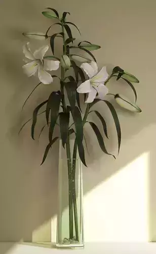 Lilium lilies in vase on table 3D model