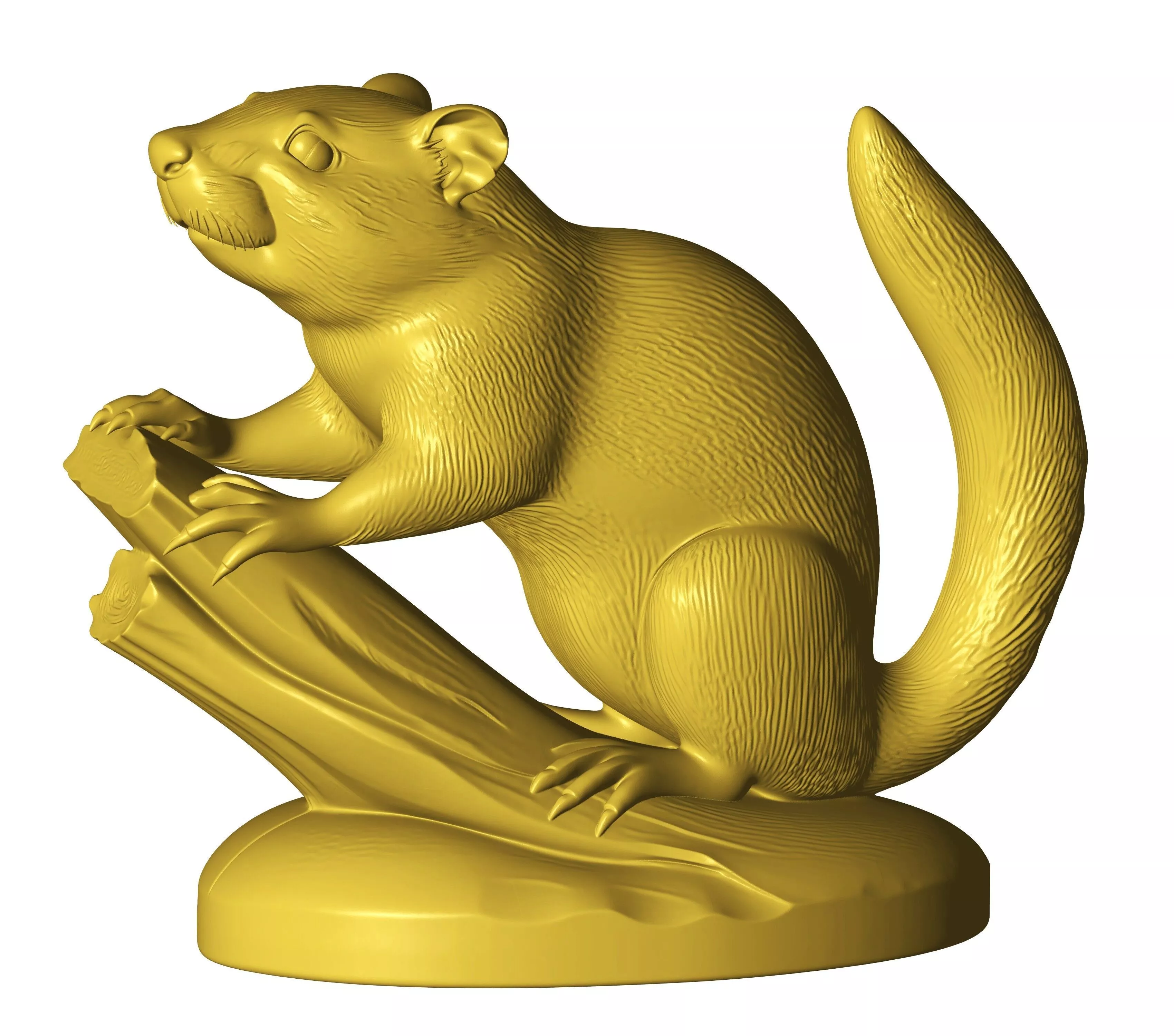 squirrel 3D print model