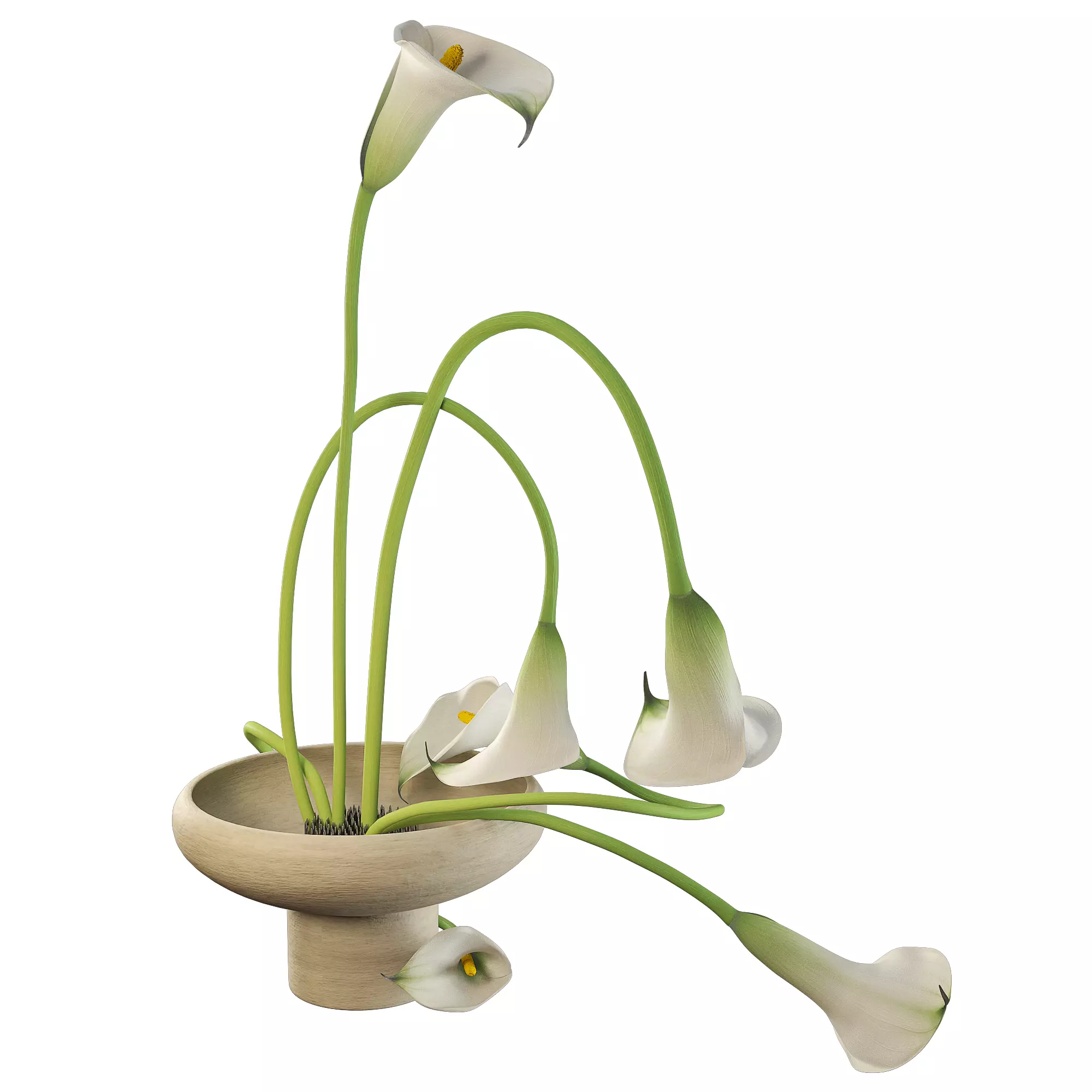 Modern Ikebana Calla Lily Arrangement Bouquet 3D model