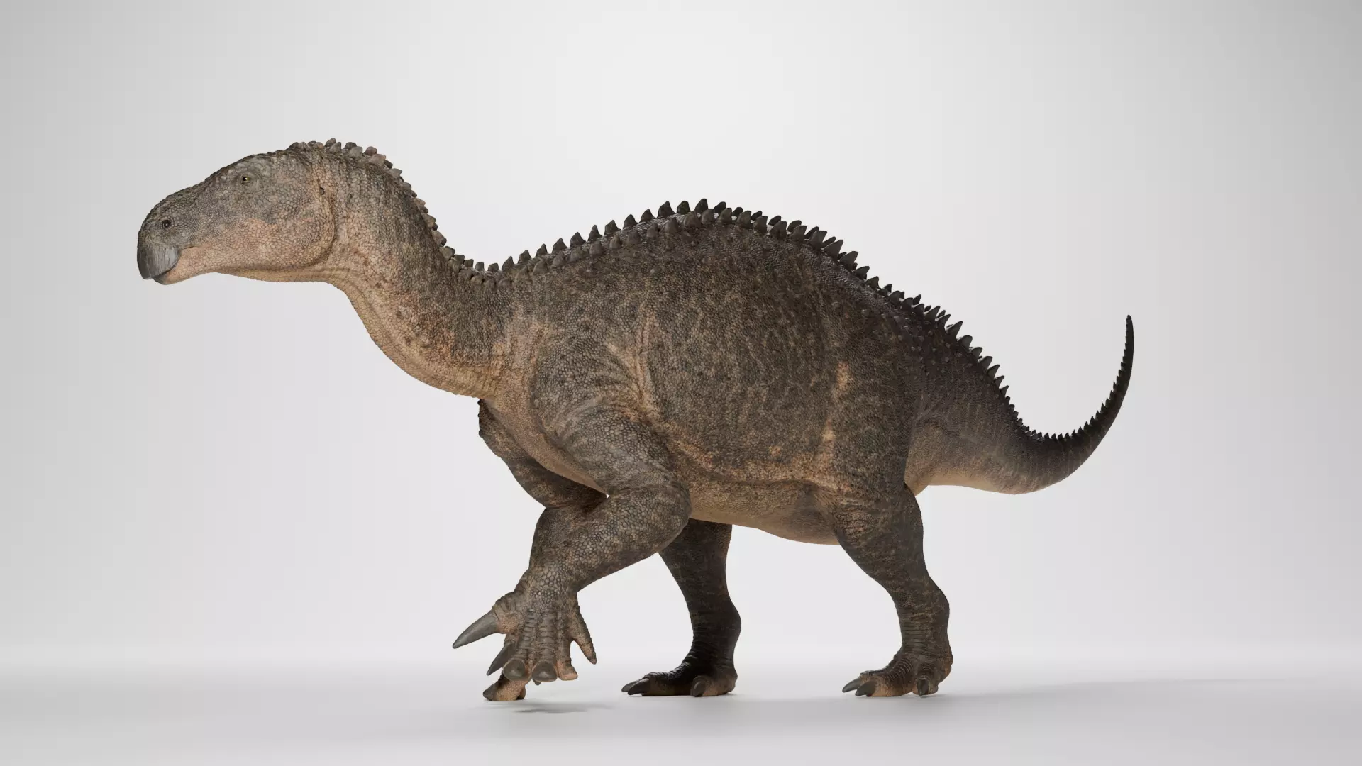 3D Iguanodon Low-poly 3D model