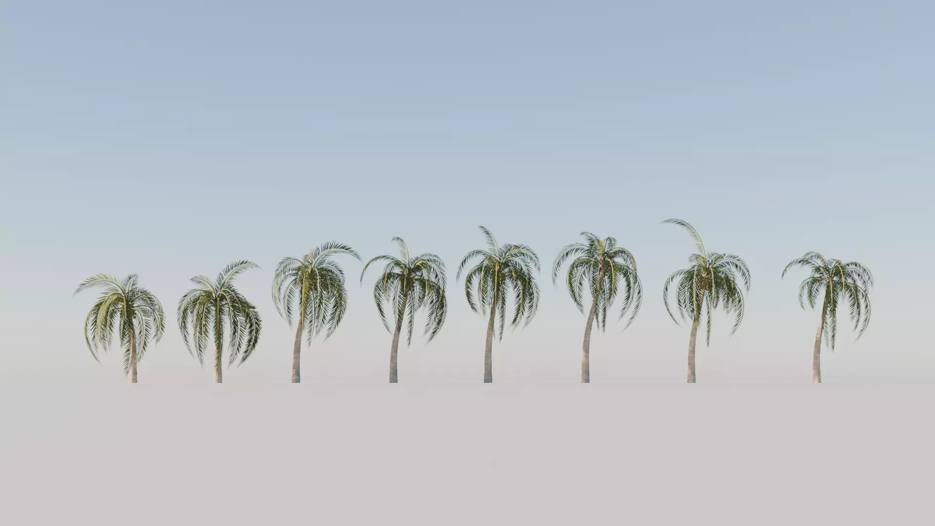 LOW POLY BEACH COCONUT TREE Low-poly 3D model
