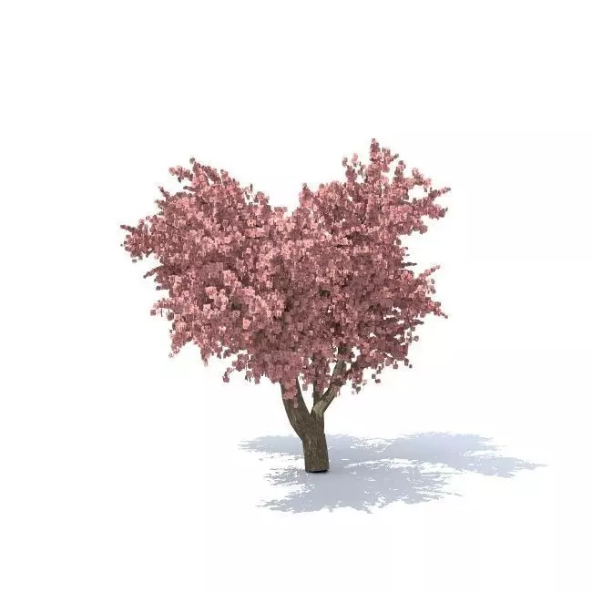 Apple tree 3D model_0