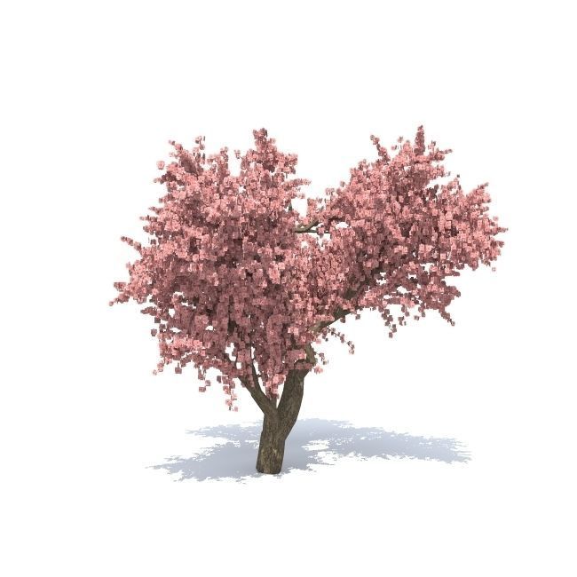 Apple tree 3D model_1