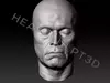 Willem Dafoe Lifecast 3D Scan Head Spider Man Green Goblin 3D model ...