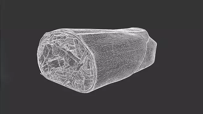 Korean BBQ Burrito 3D model 3