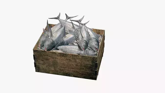 Polystyrene Box With Fish Low-Poly 3D Model Low-poly 3D model 5