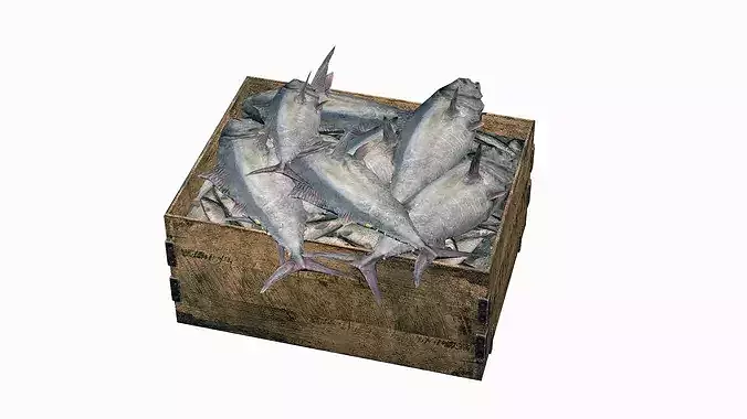 Polystyrene Box With Fish Low-Poly 3D Model Low-poly 3D model 4