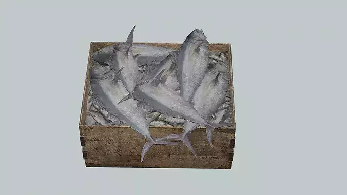 Polystyrene Box With Fish Low-Poly 3D Model Low-poly 3D model 7