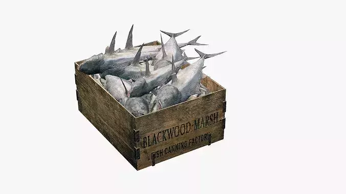 Polystyrene Box With Fish Low-Poly 3D Model Low-poly 3D model 6