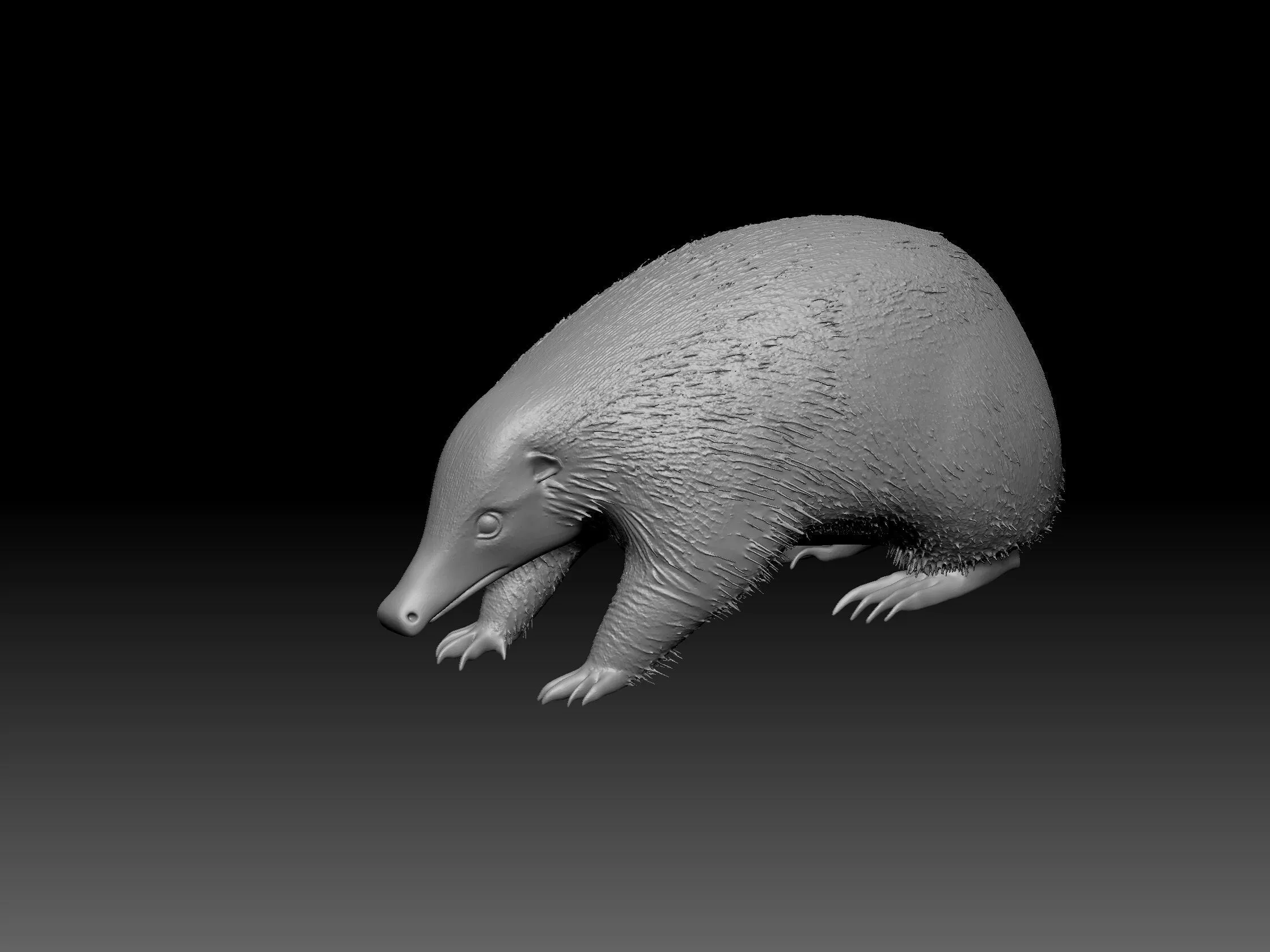 an anteater 3D print model