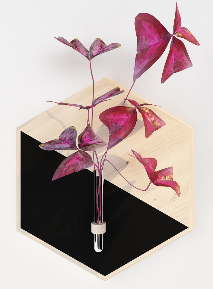 HAnging 2 hexagon vase with plant in it 3D model_1