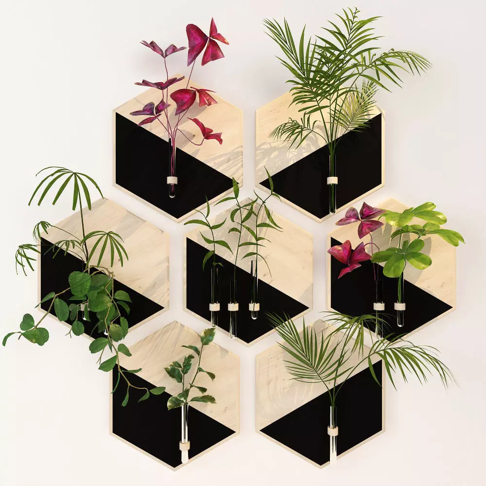 HAnging 2 hexagon vase with plant in it 3D model_0