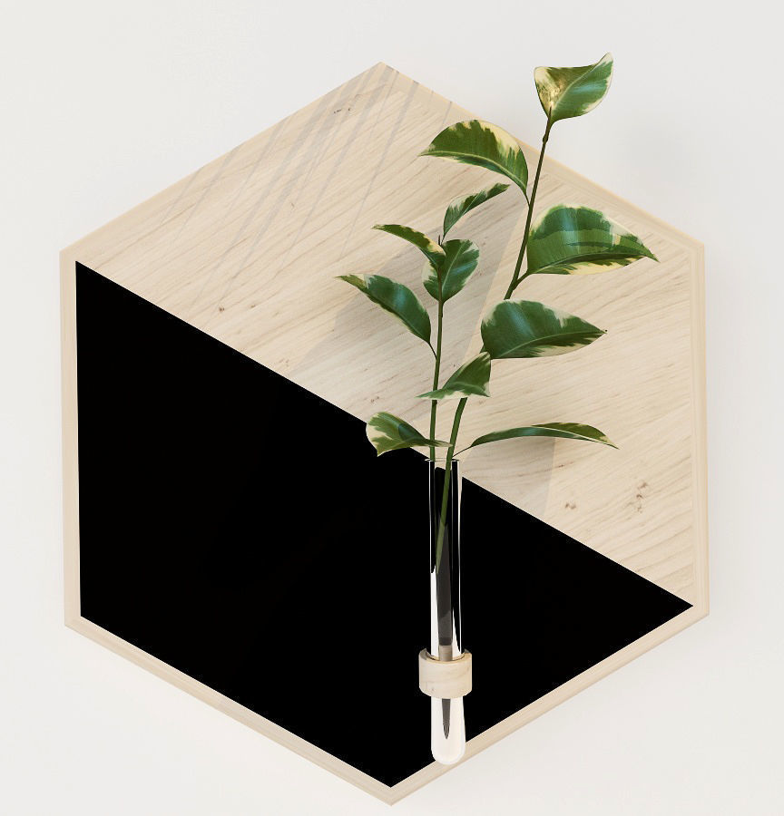 HAnging 2 hexagon vase with plant in it 3D model_2