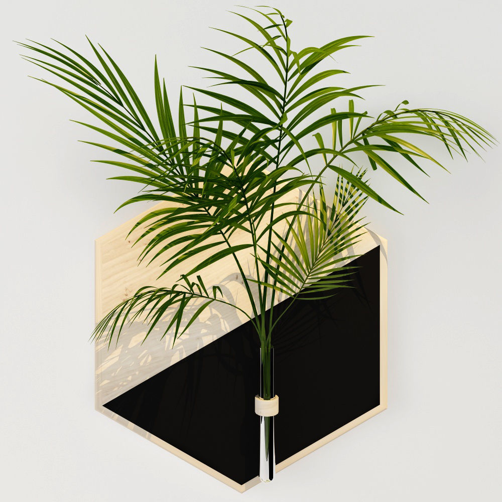 HAnging 2 hexagon vase with plant in it 3D model_3