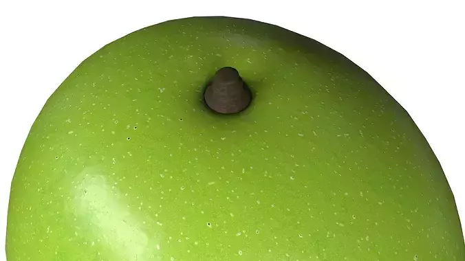 Green Mango PBR Low-poly 3D model 4