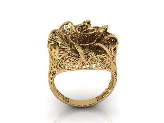 Ring ultra vision 3D print model_3