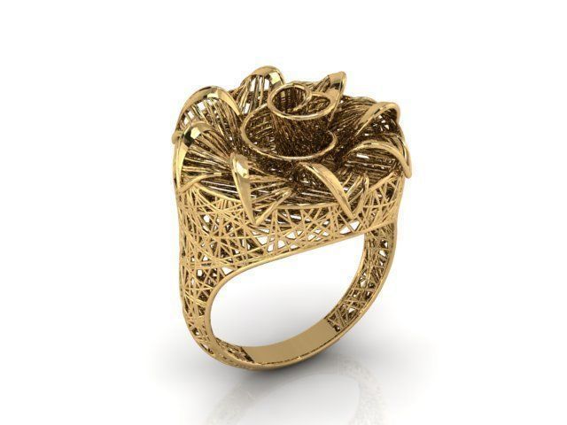 Ring ultra vision 3D print model_1