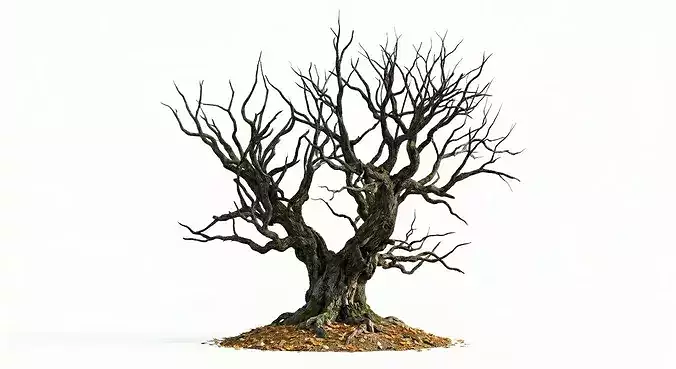 Dead Tree Realistic 3D Model