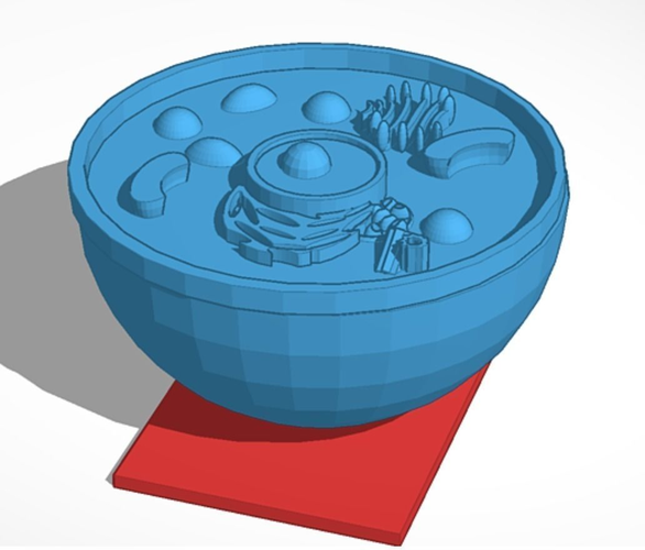 Eukaryotic Animal Cell 3D print model