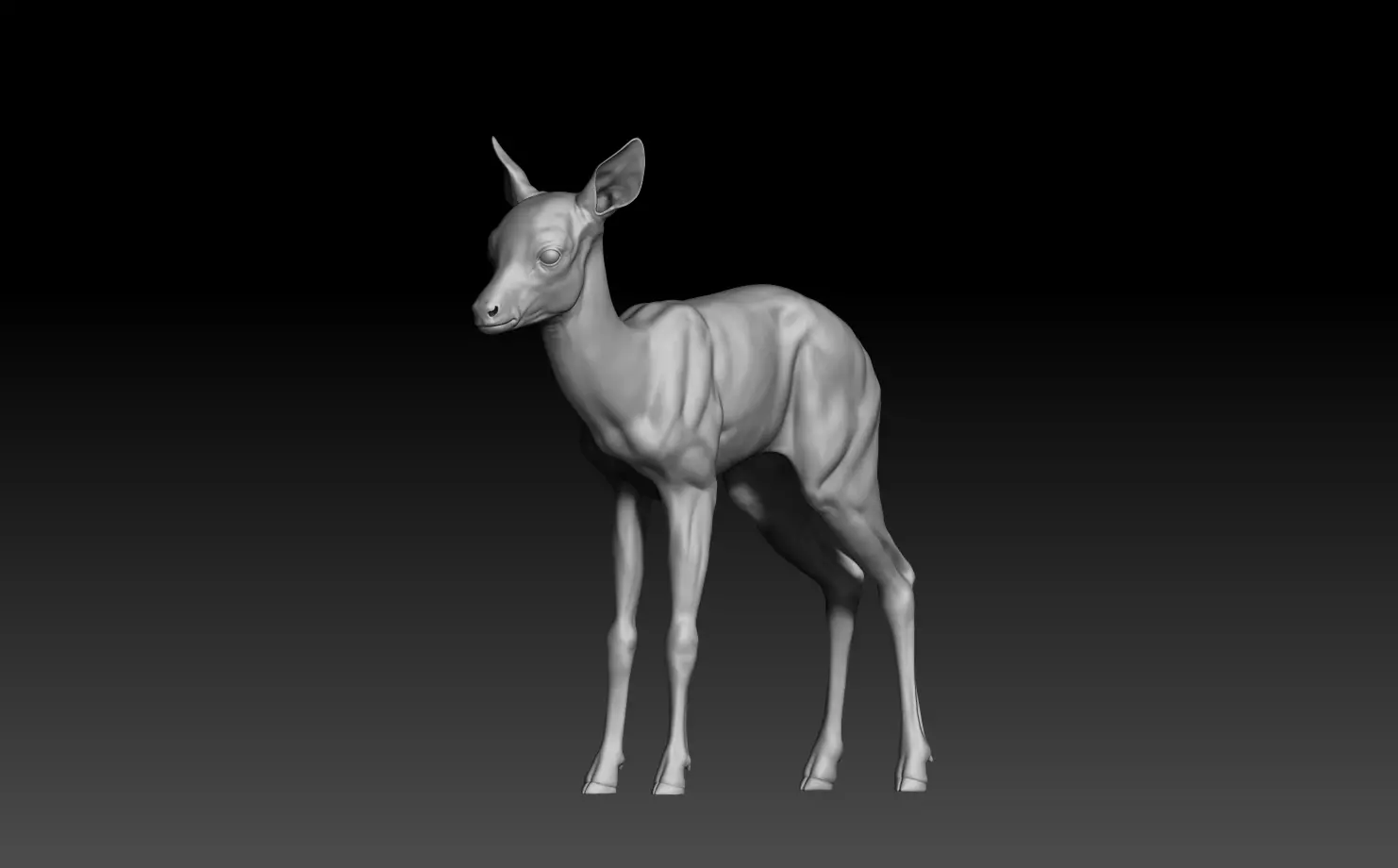 Realistic Baby Deer 3D model