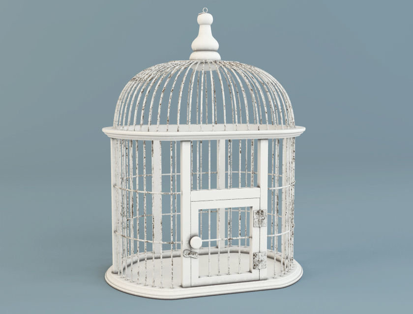 Decorative Bird Cage by ZARA HOME 3D model_4