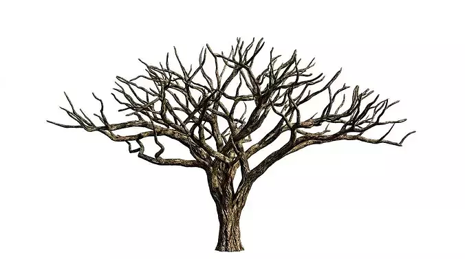 Dry Dead Tree 3D Model