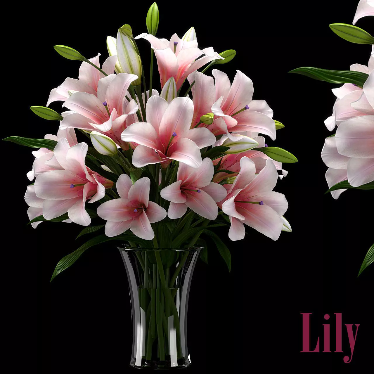 LILY 2 lilies in vase 3D model_0