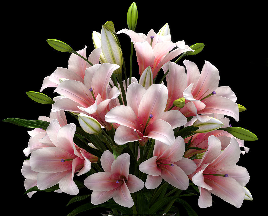 LILY 2 lilies in vase 3D model_3