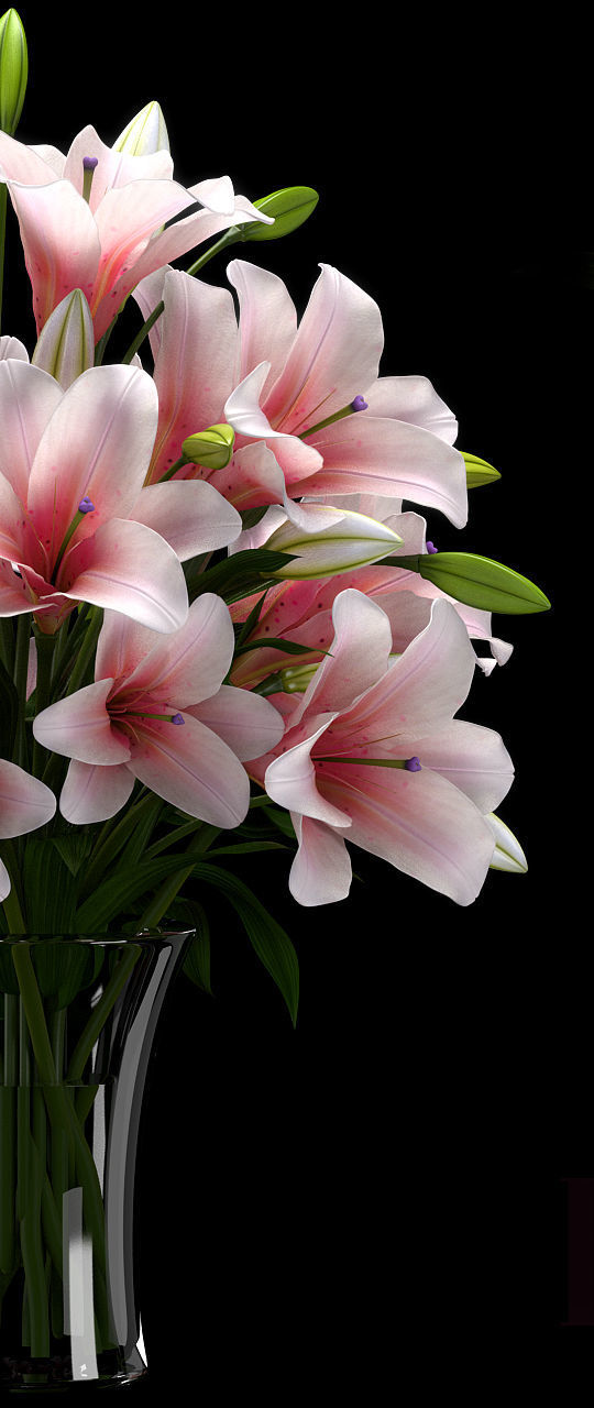 LILY 2 lilies in vase 3D model_4