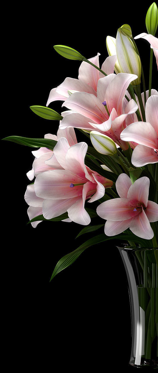 LILY 2 lilies in vase 3D model_1