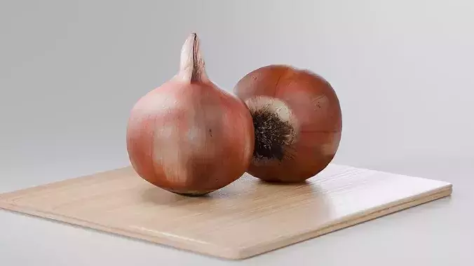 Onion  Photorealistic PBR