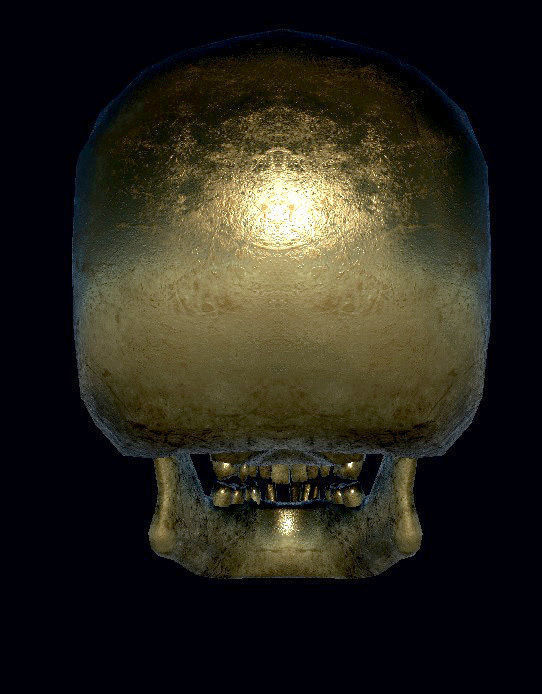 Skull - Golden PBR - Textured Low-poly 3D model_2
