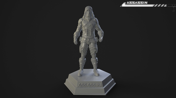 Assassin print model 3D print model