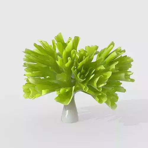 Seaweed V4