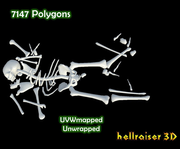 Dead Skeleton Low-poly 3D model