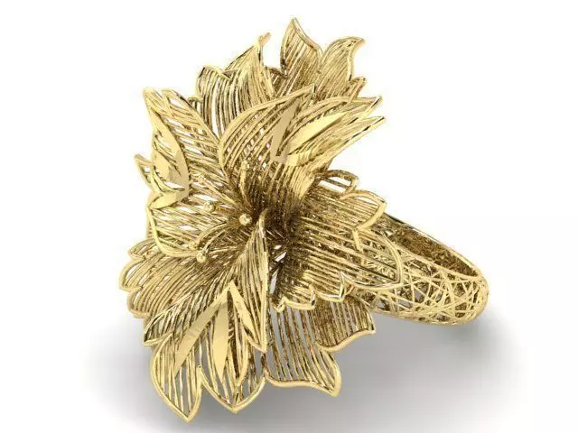 Ring ultra vision 3D print model_0