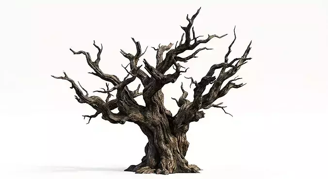 Dead Tree 3D Model