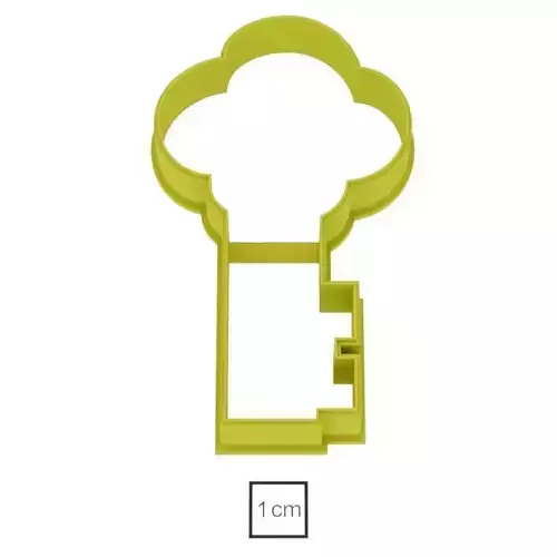 Golden Key cookie cutter for professional 
