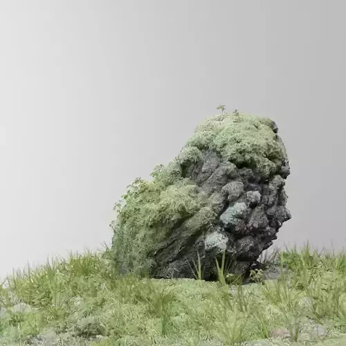 3d scanned tree stump and gras