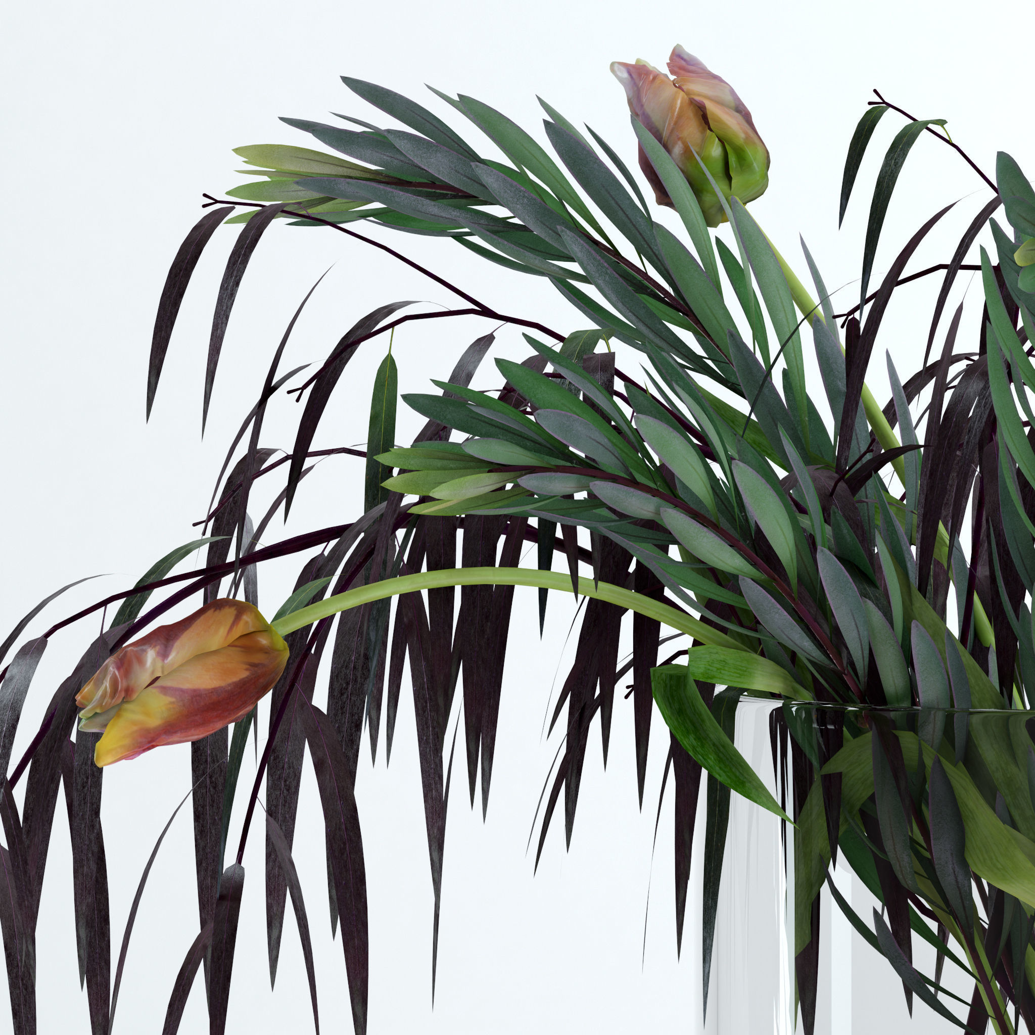 Tulips and Co 3D model_7