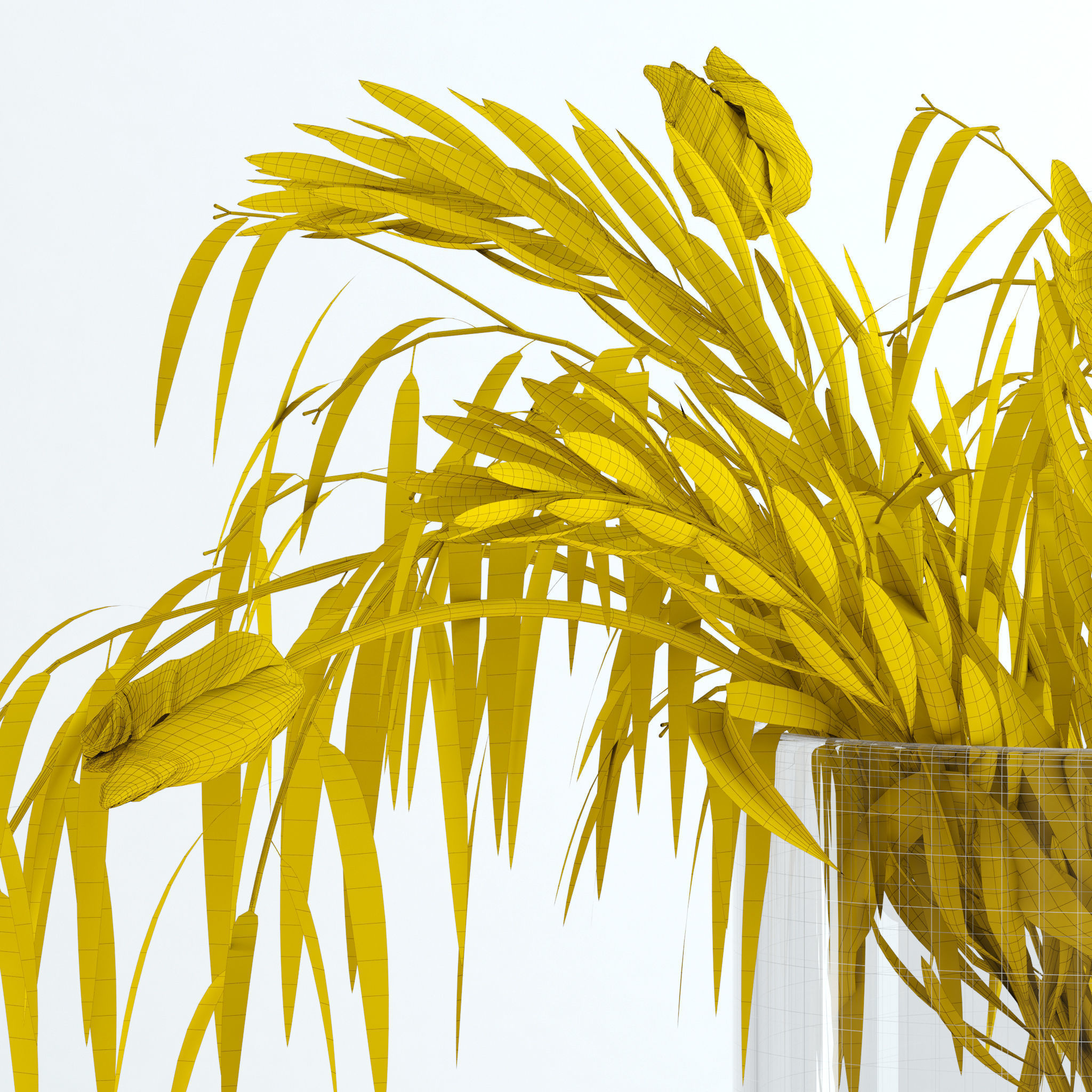 Tulips and Co 3D model_11