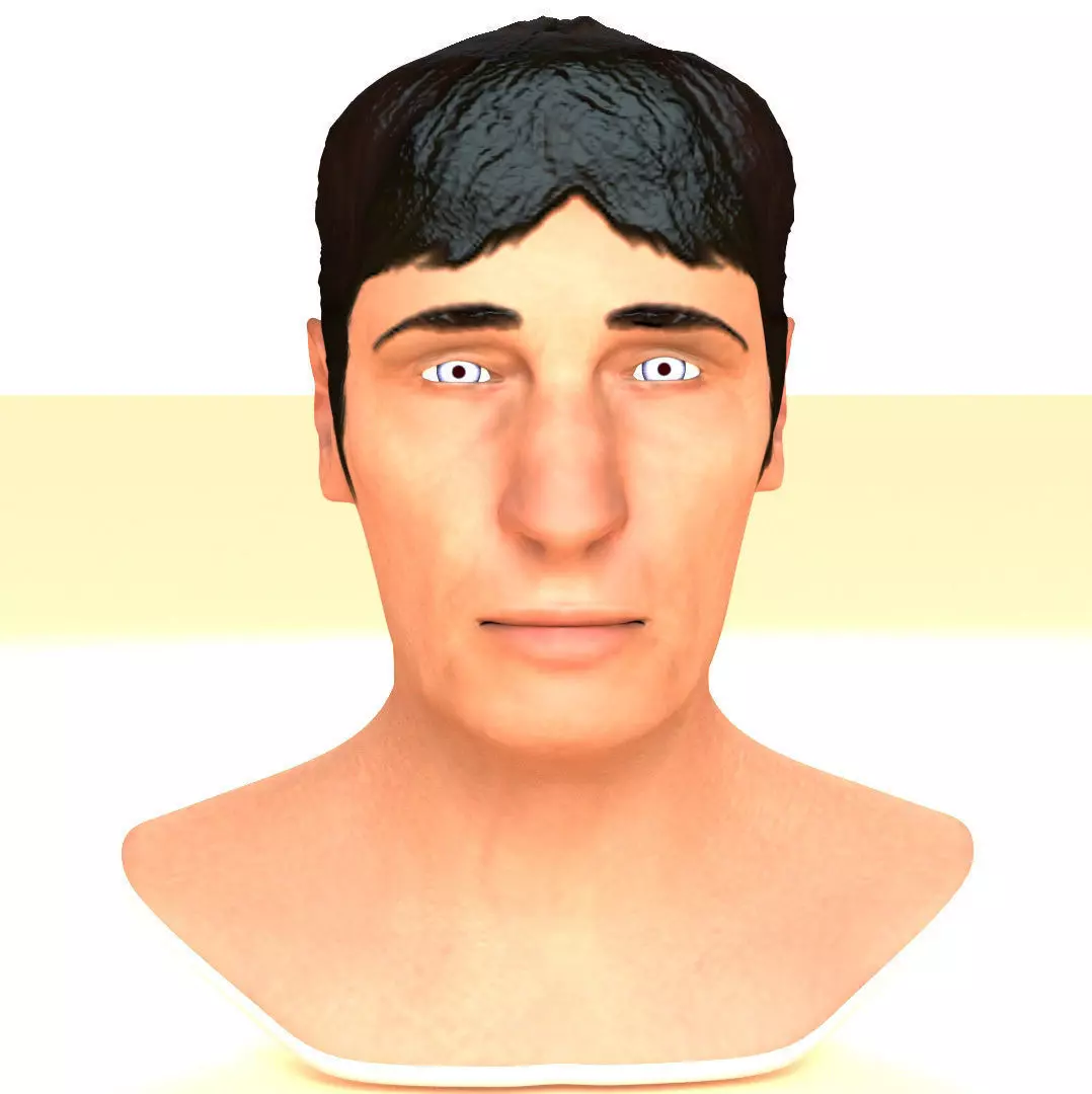 Textured Printable Male Head 3D print model